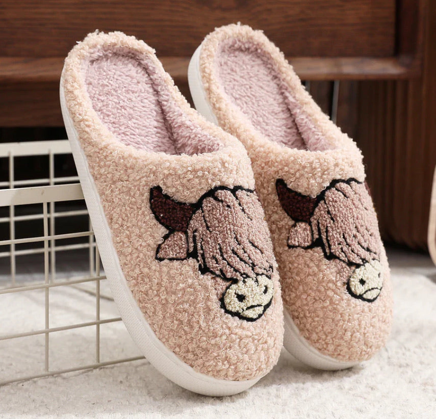Slippers
